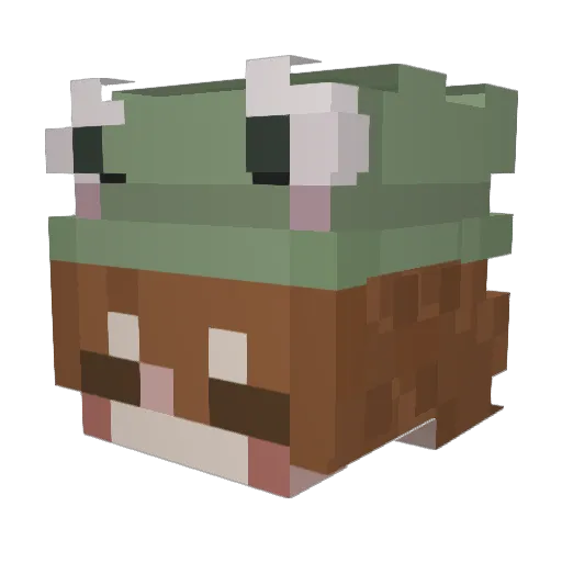 ashkey550 Minecraft avatar head, 3D render