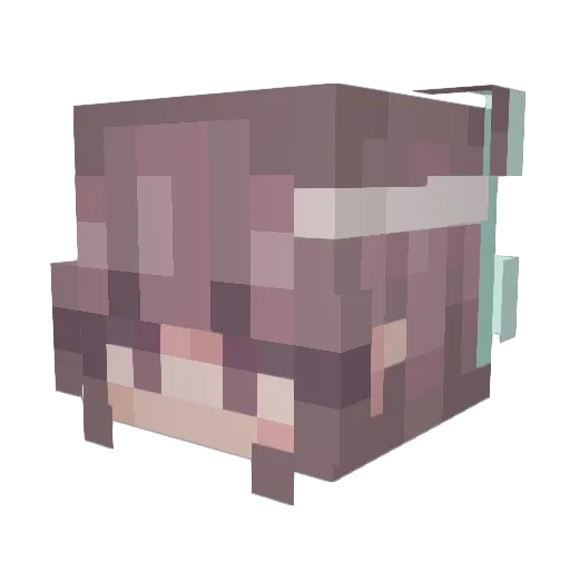 ashleighh06 Minecraft avatar head, 3D render