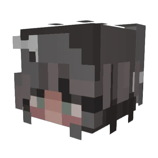 ashlen_ Minecraft avatar head, 3D render