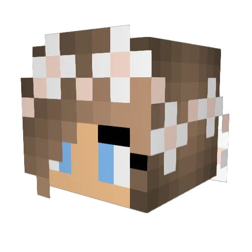 ashley_9 Minecraft avatar head, 3D render