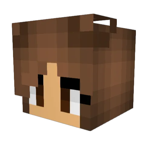 ashleyann__ Minecraft avatar head, 3D render
