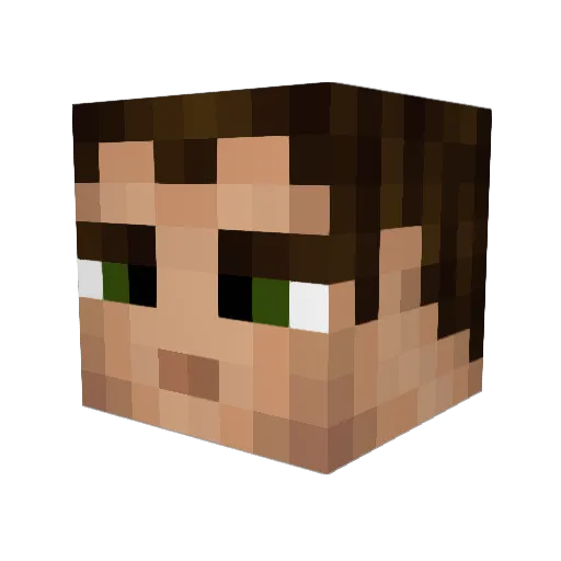 ashleyjohn121 Minecraft avatar head, 3D render