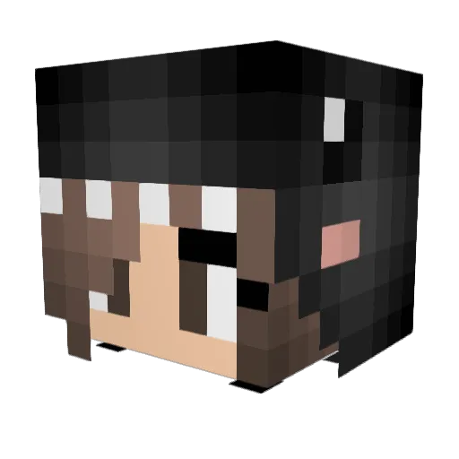 ashleymae530 Minecraft avatar head, 3D render