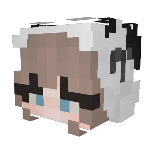 ashleyplay11 Minecraft avatar head, 3D render