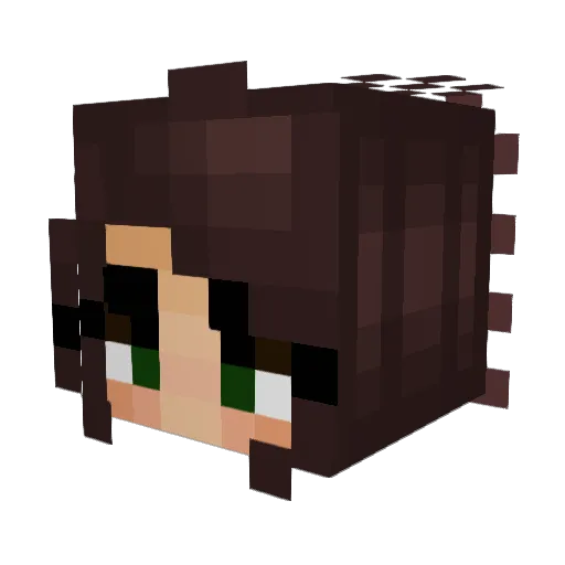 ashleyrose7 Minecraft avatar head, 3D render