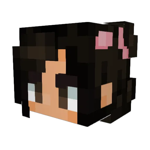 ashleyrpoopy Minecraft avatar head, 3D render