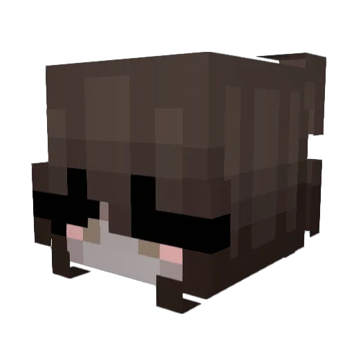 ashleyyfr Minecraft avatar head, 3D render