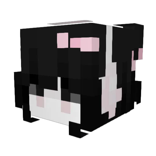 ashliaa Minecraft avatar head, 3D render