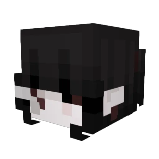 ashlvyy Minecraft avatar head, 3D render