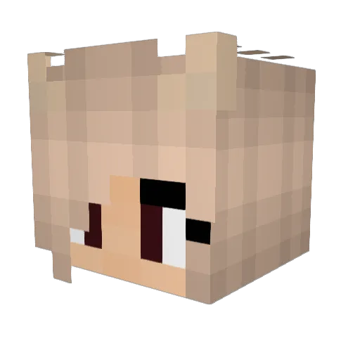 ashlyngrace44 Minecraft avatar head, 3D render