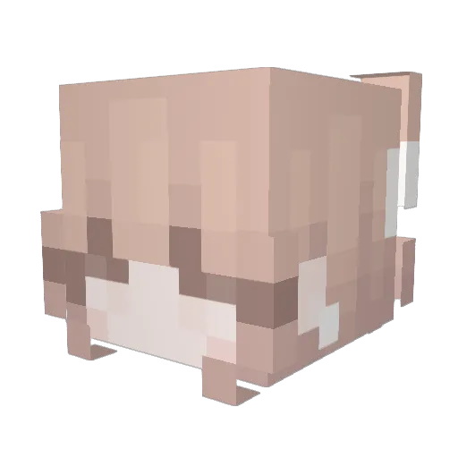 ashlynn55 Minecraft avatar head, 3D render