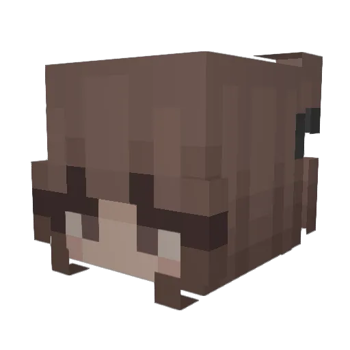 asho_faith Minecraft avatar head, 3D render