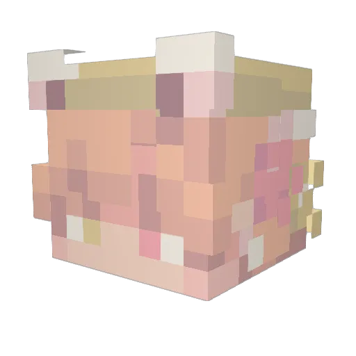 ashpoeker Minecraft avatar head, 3D render