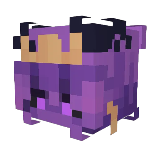 ashswagz Minecraft avatar head, 3D render