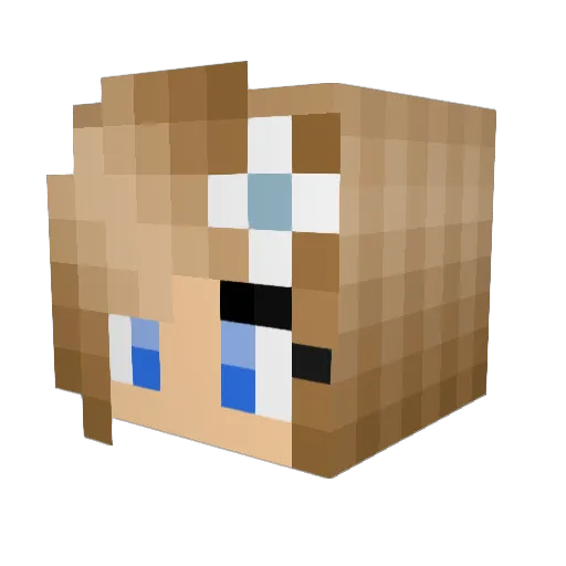 ashteynberg Minecraft avatar head, 3D render