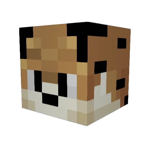 ashtoncrowdis Minecraft avatar head, 3D render