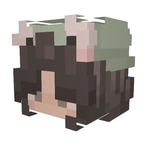 ashtonnalexa Minecraft avatar head, 3D render