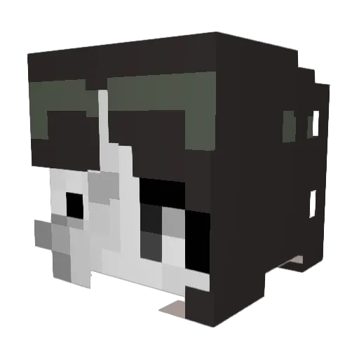 ashweenz Minecraft avatar head, 3D render