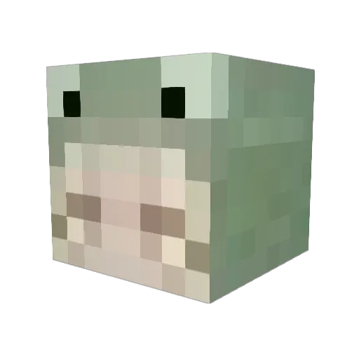 ashweepea Minecraft avatar head, 3D render