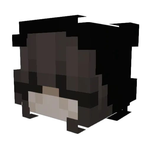 ashwwee Minecraft avatar head, 3D render