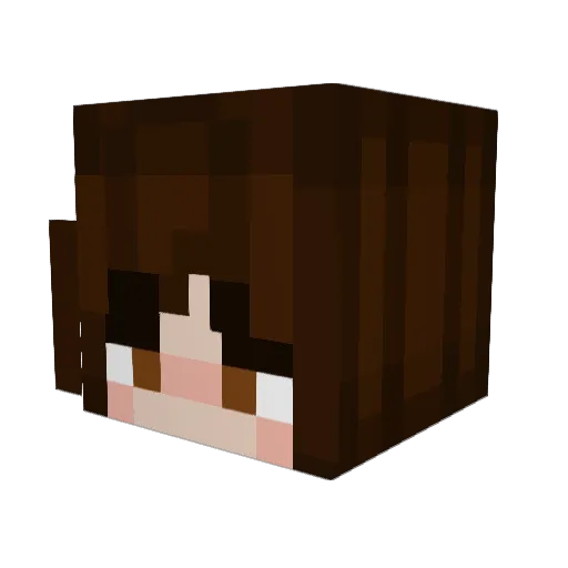 ashxoleyy Minecraft avatar head, 3D render