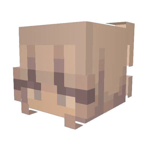 ashxtrayx Minecraft avatar head, 3D render