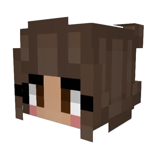 ashyeg Minecraft avatar head, 3D render