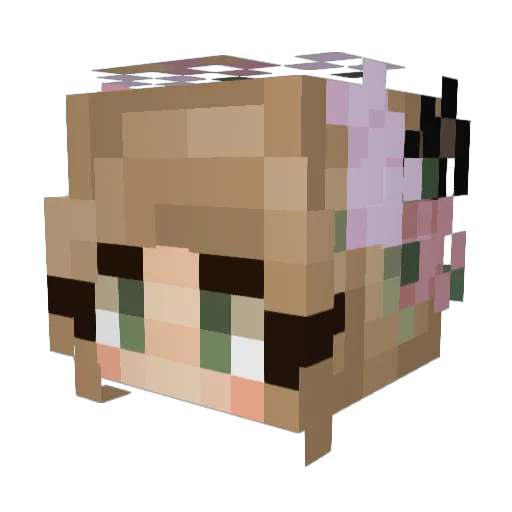 ashyfloppa Minecraft avatar head, 3D render