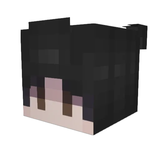 ashzalright Minecraft avatar head, 3D render
