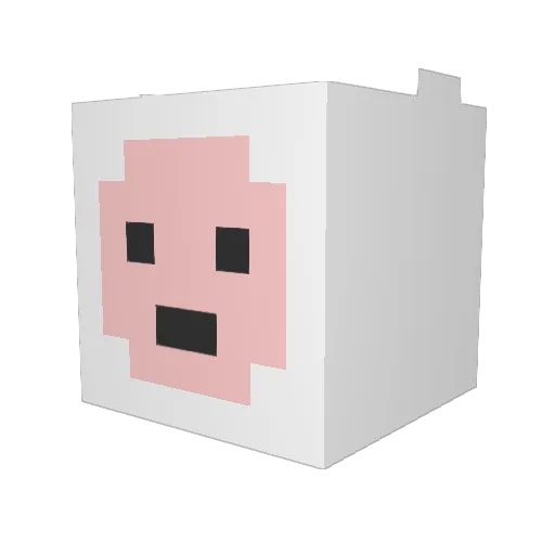 asian_kid69 Minecraft avatar head, 3D render