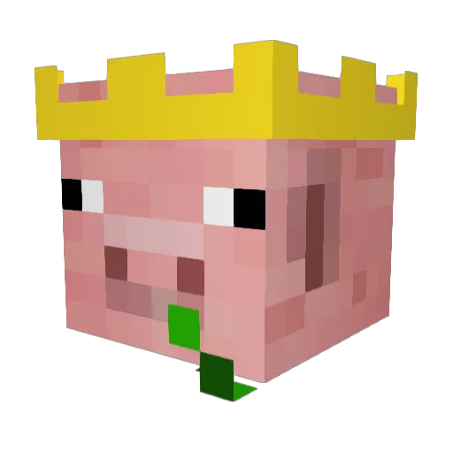asianarchie Minecraft avatar head, 3D render