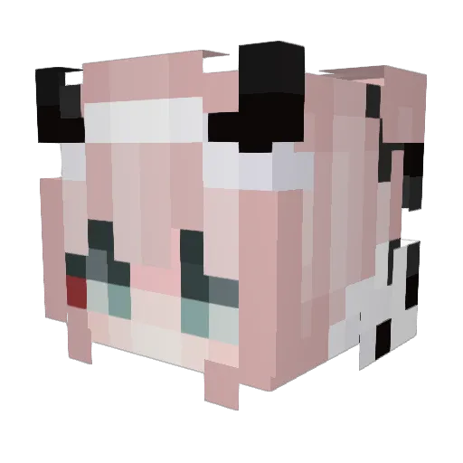 asianbrokie Minecraft avatar head, 3D render