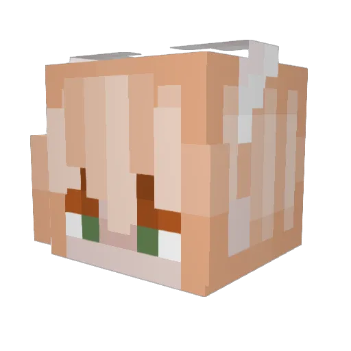 asianduke113 Minecraft avatar head, 3D render