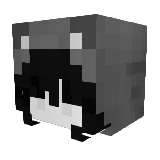 asianrice9937 Minecraft avatar head, 3D render