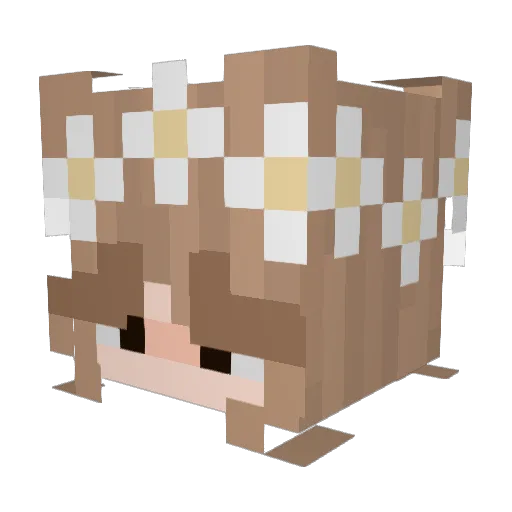 asiapiernik Minecraft avatar head, 3D render