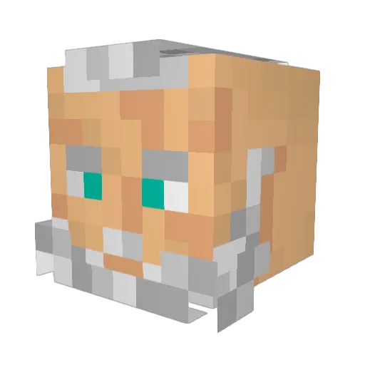 asinwood Minecraft avatar head, 3D render
