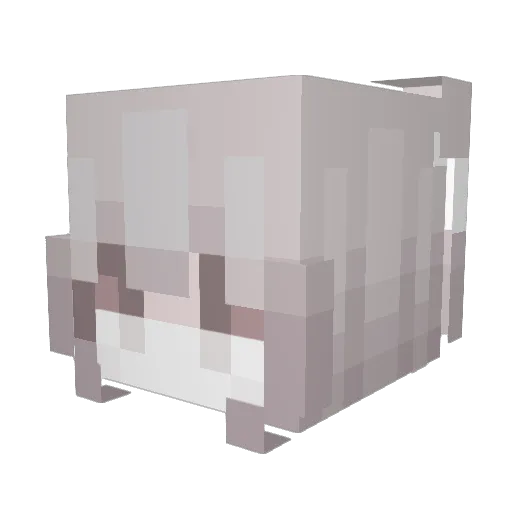 asirii Minecraft avatar head, 3D render
