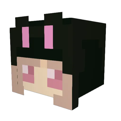 asitanikitai Minecraft avatar head, 3D render