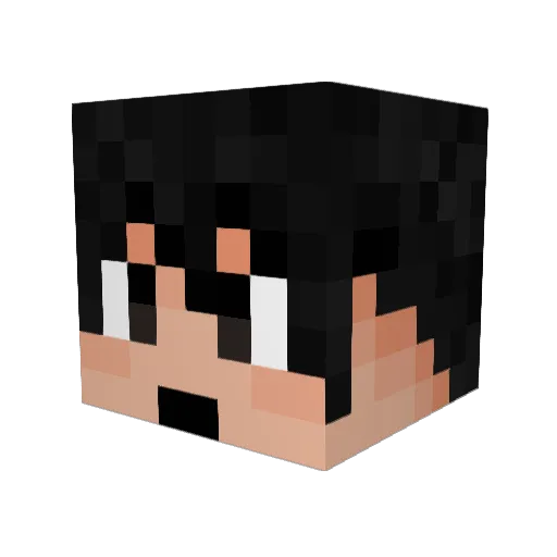 asity Minecraft avatar head, 3D render