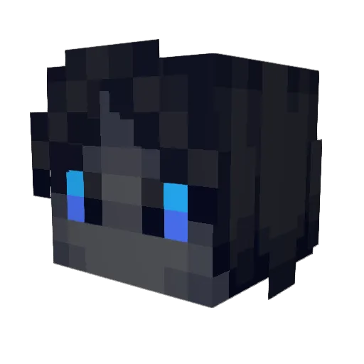 asj811 Minecraft avatar head, 3D render
