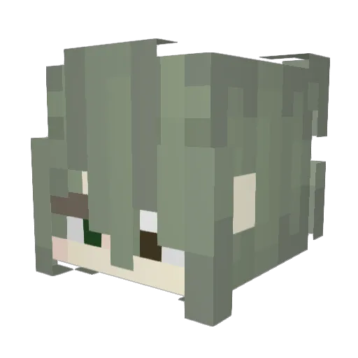 askeela Minecraft avatar head, 3D render