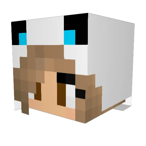 askembla Minecraft avatar head, 3D render