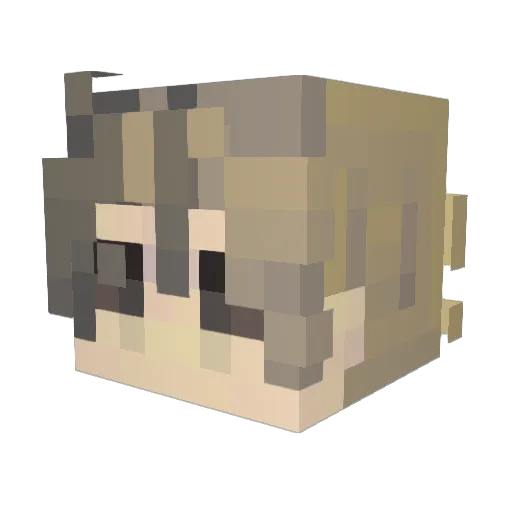 askyfall Minecraft avatar head, 3D render
