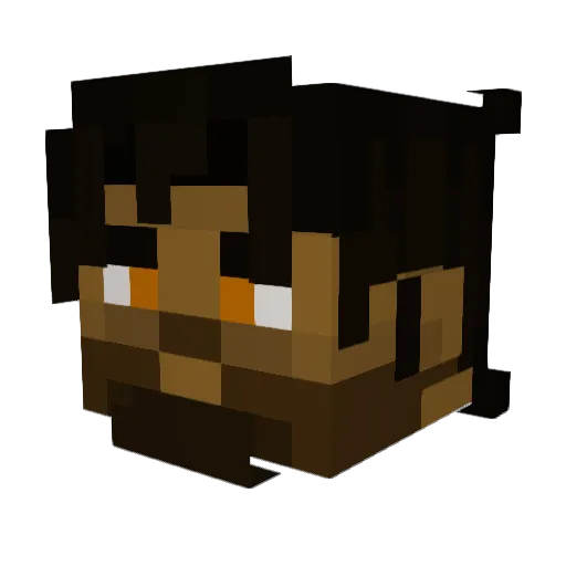 aslan454 Minecraft avatar head, 3D render