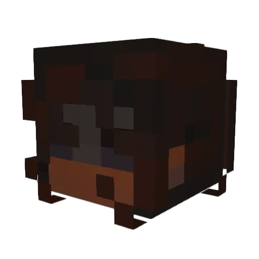 aslaniy Minecraft avatar head, 3D render
