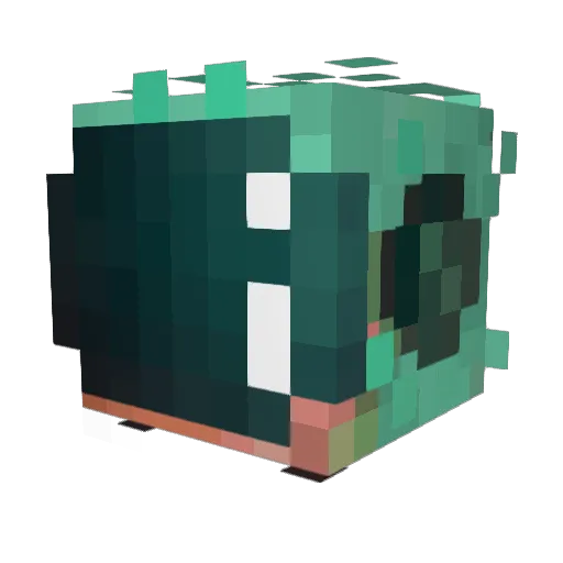 asnek_ Minecraft avatar head, 3D render