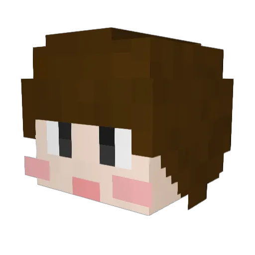 asnwnsa0126 Minecraft avatar head, 3D render