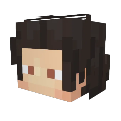asosinos Minecraft avatar head, 3D render