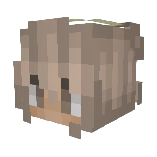 aspectmt Minecraft avatar head, 3D render