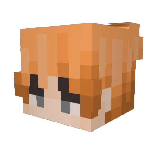 aspenfirtree Minecraft avatar head, 3D render